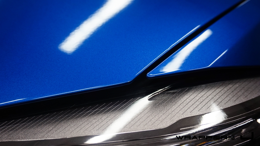 DSC08418.jpg
