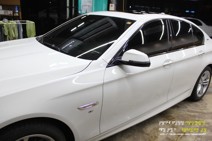 520d_ppf_(10).jpg